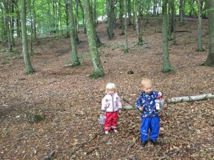 IMG 7128 (1)